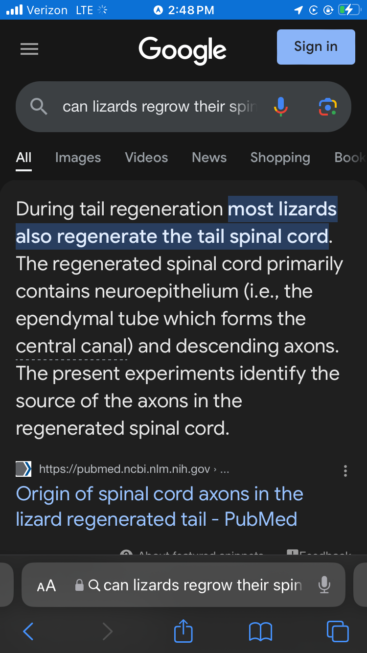 February 4th 2024 – Morning&nbsp;Noise