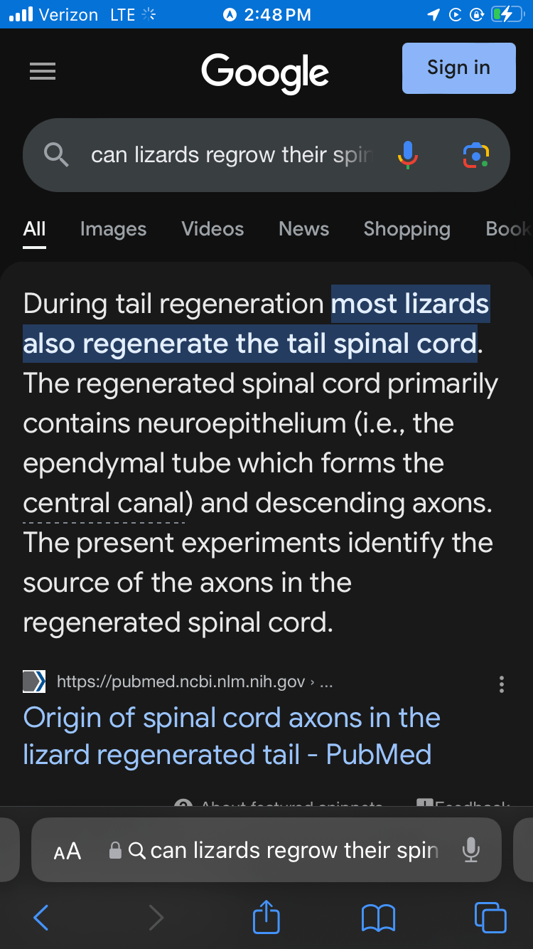 February 4th 2024 – Morning&nbsp;Noise