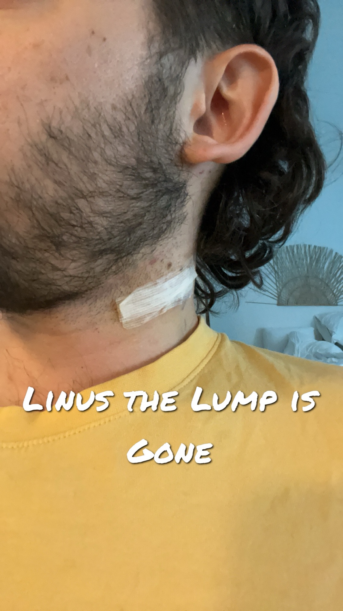 June 16th – June 22nd 2024: “Linus The Lump is&nbsp;Gone!”