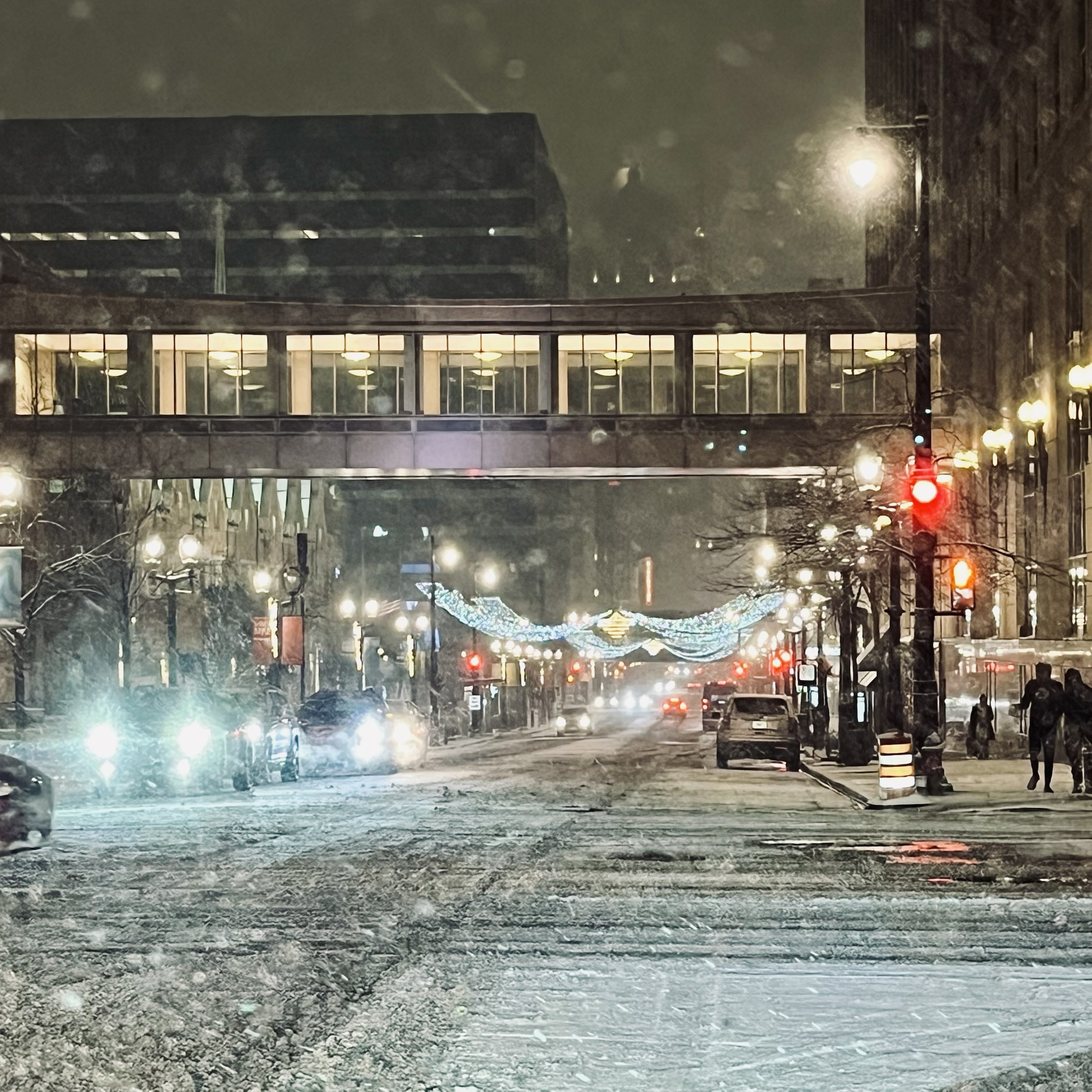 Spinal Cord Injury Recovery Progress Amidst Winter’s Arrival | Dec 15- Dec 21&nbsp;2024: