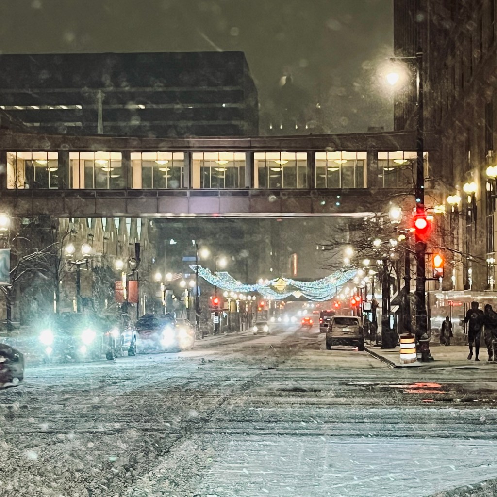 Spinal Cord Injury Recovery Progress Amidst Winter’s Arrival | Dec 15- Dec 21&nbsp;2024: