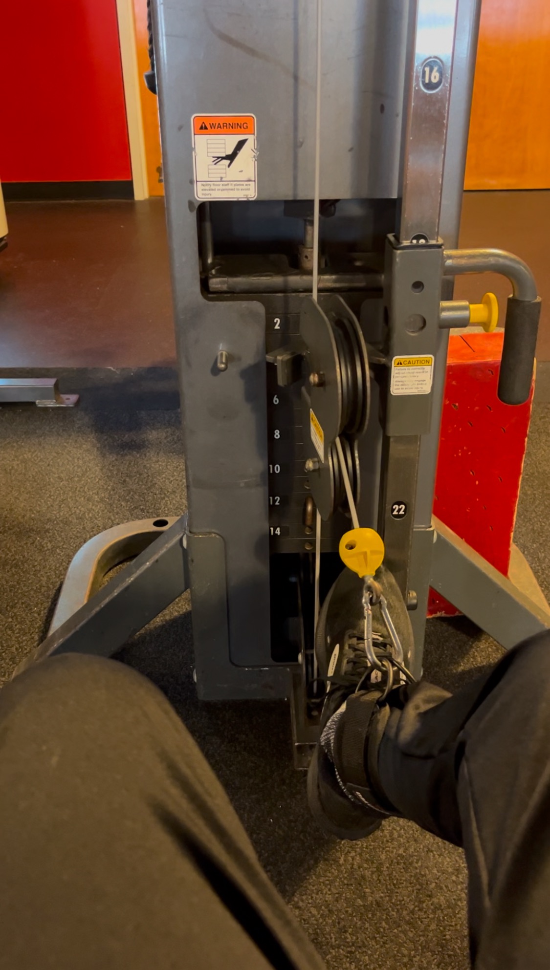 Starting 2025: New Goals in SCI Recovery! | Jan 1- Jan 4&nbsp;2025