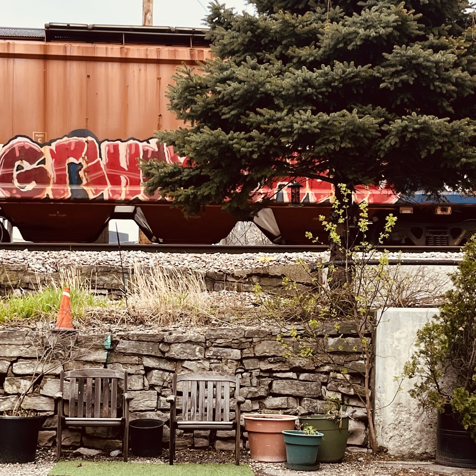 Family Bonds & Calisthenics For SCI Recovery | Apr 27 – May 3&nbsp;2025