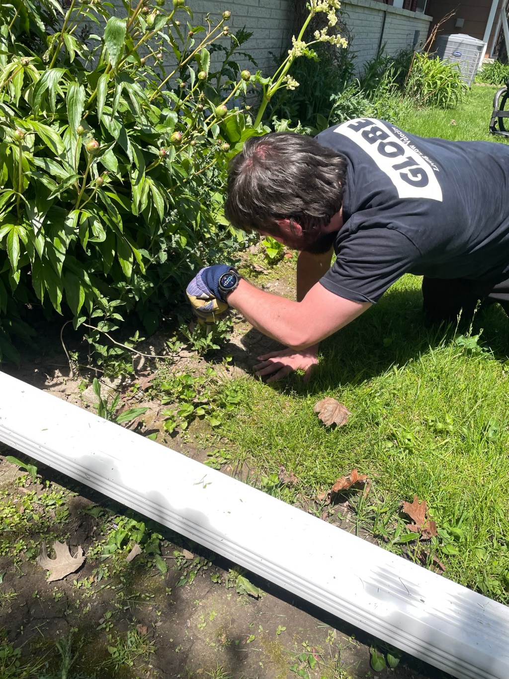 ‘If You’re Too Good For Pulling Weeds’ / Lightning Over The Sky for SCI Rehab | May 10 – 16&nbsp;2026