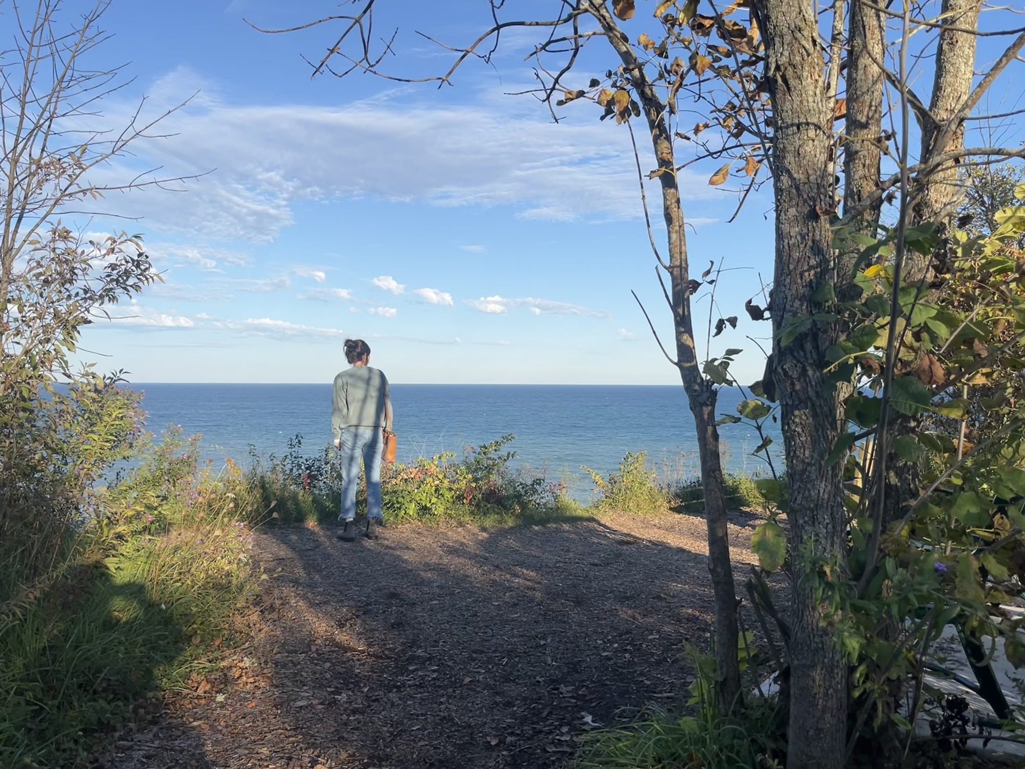 Callie & The Lion’s Den for SCI Livin’ | Sept 27 – Oct 3&nbsp;2026